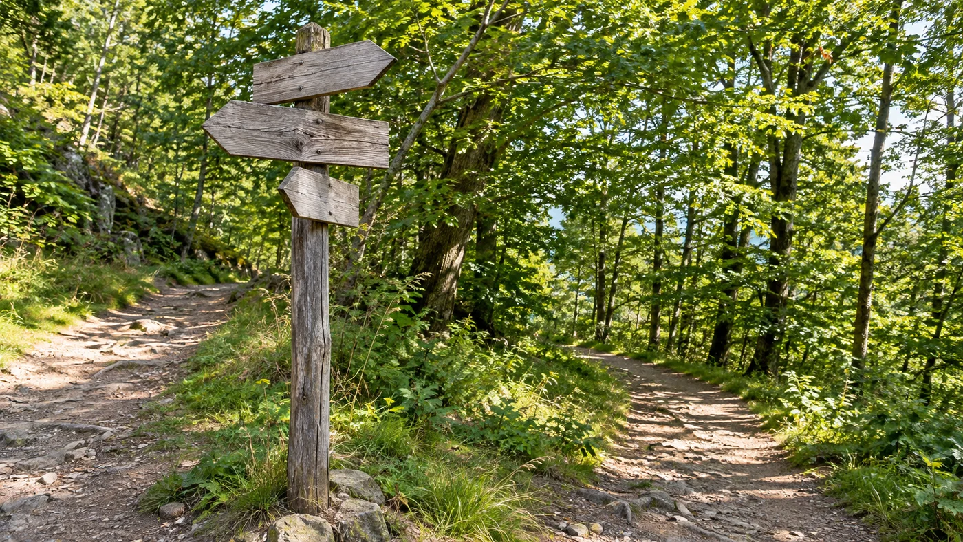 Dřevěný turistický rozcestník u lesní cesty v letních kopcích